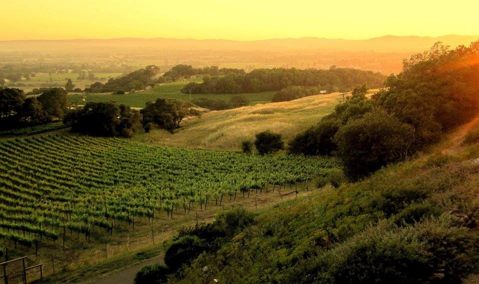 Santa Rosa in Sonoma County, "The Heart Of The Wine Country"